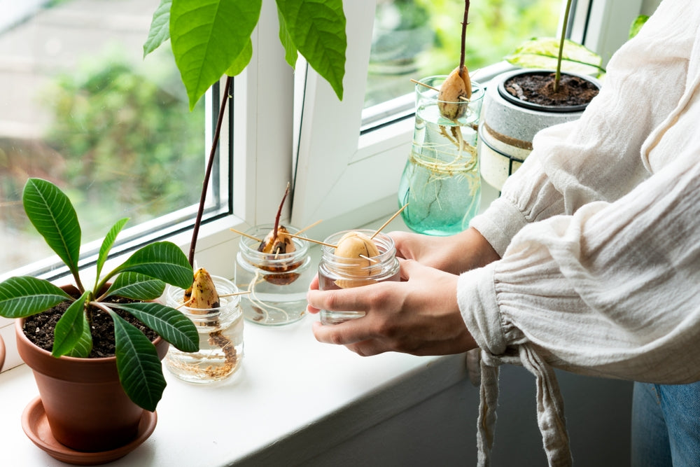 ferm living plant box wall Ferm Living - Plant Box