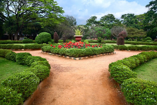 Top 8 Botanical gardens of India