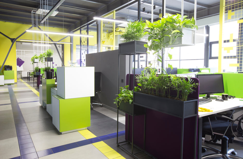 Desk Plants Greening Your Workspace Desk Plants Greening Your Workspace