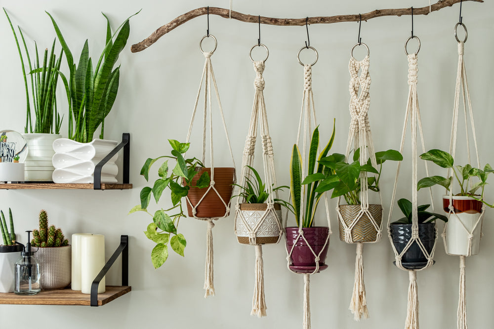 D.I.Y Macrame Plant Hanger Kit - make your own plant hanger