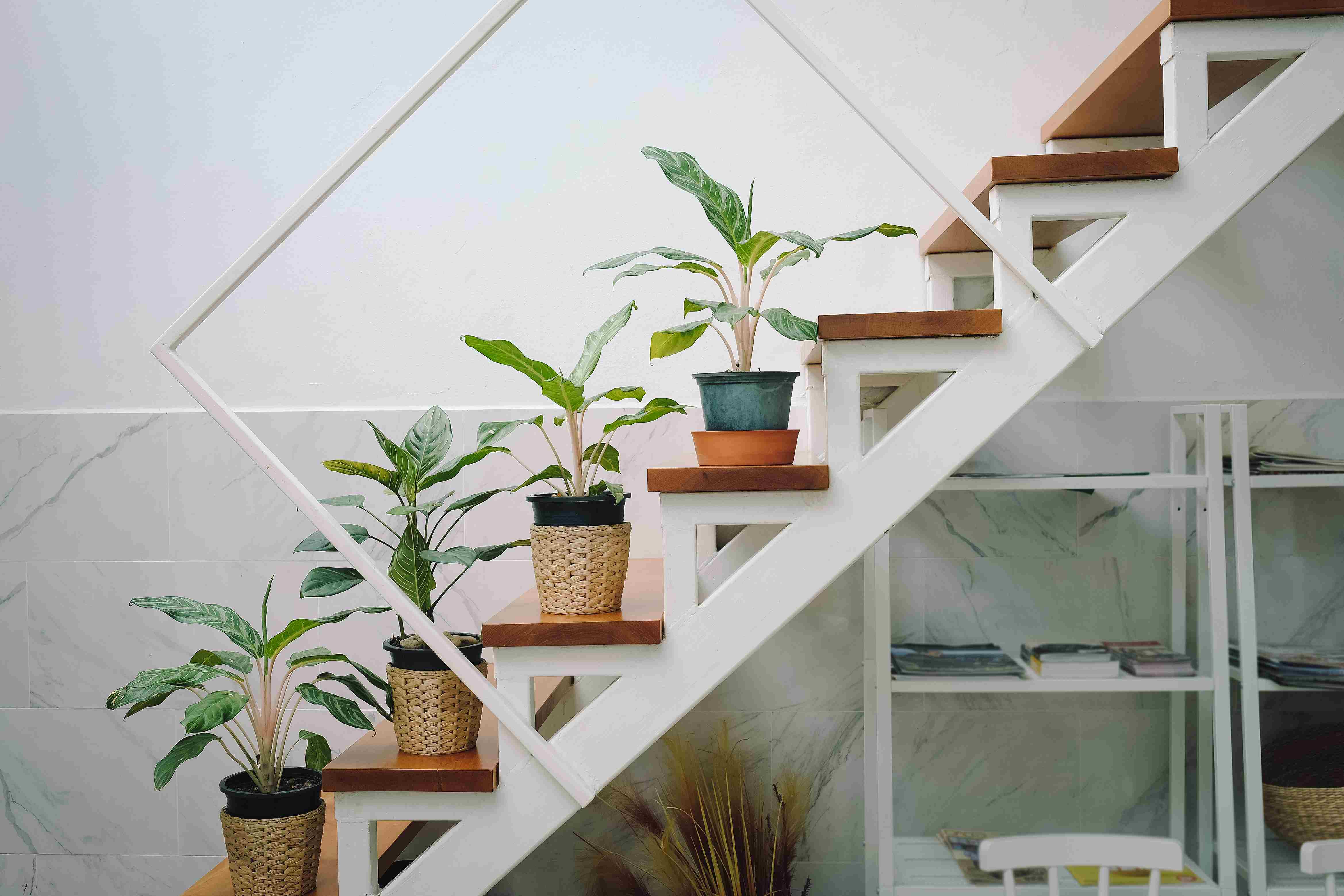 Staircase With Plants Home Designs