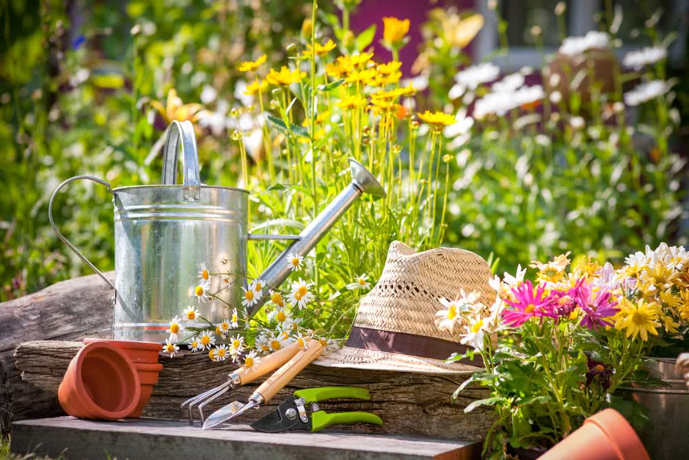 Is your Garden Ready for Summers?