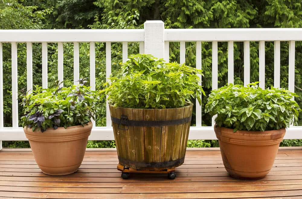 Herb Planters For Decks Wood Planter Box/ Herb Garden/ Sequoia Herb