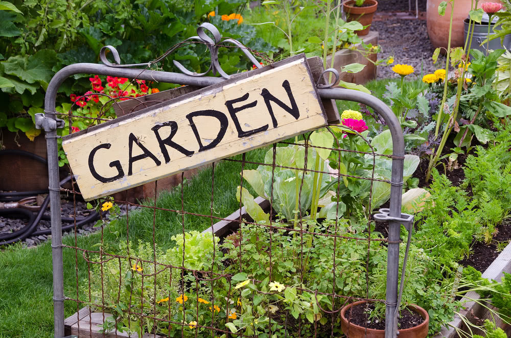 Three easy ways to install gardens at home