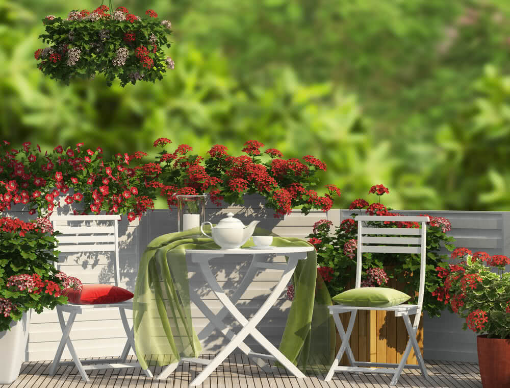 How to Start a Terrace Garden in India  Ugaoo