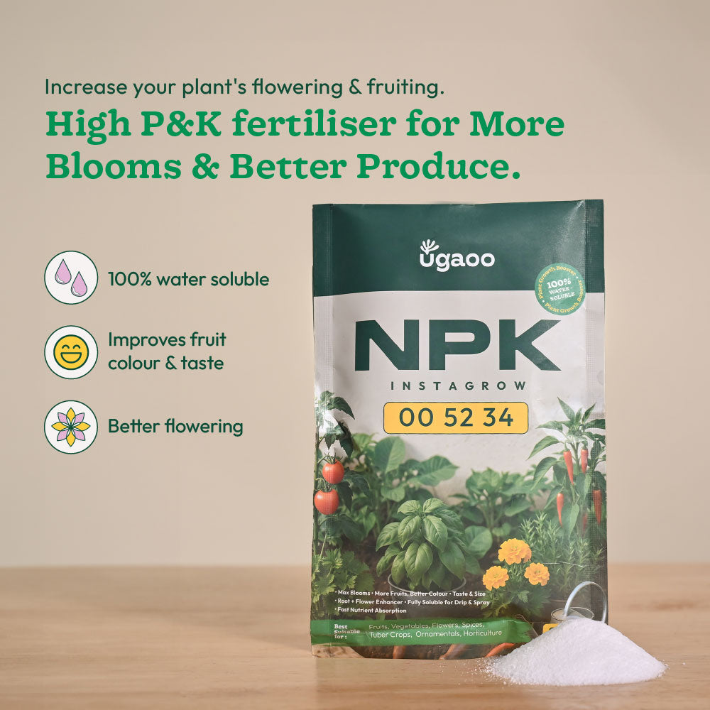 Instagrow NPK 00:52:34 Fertilizer