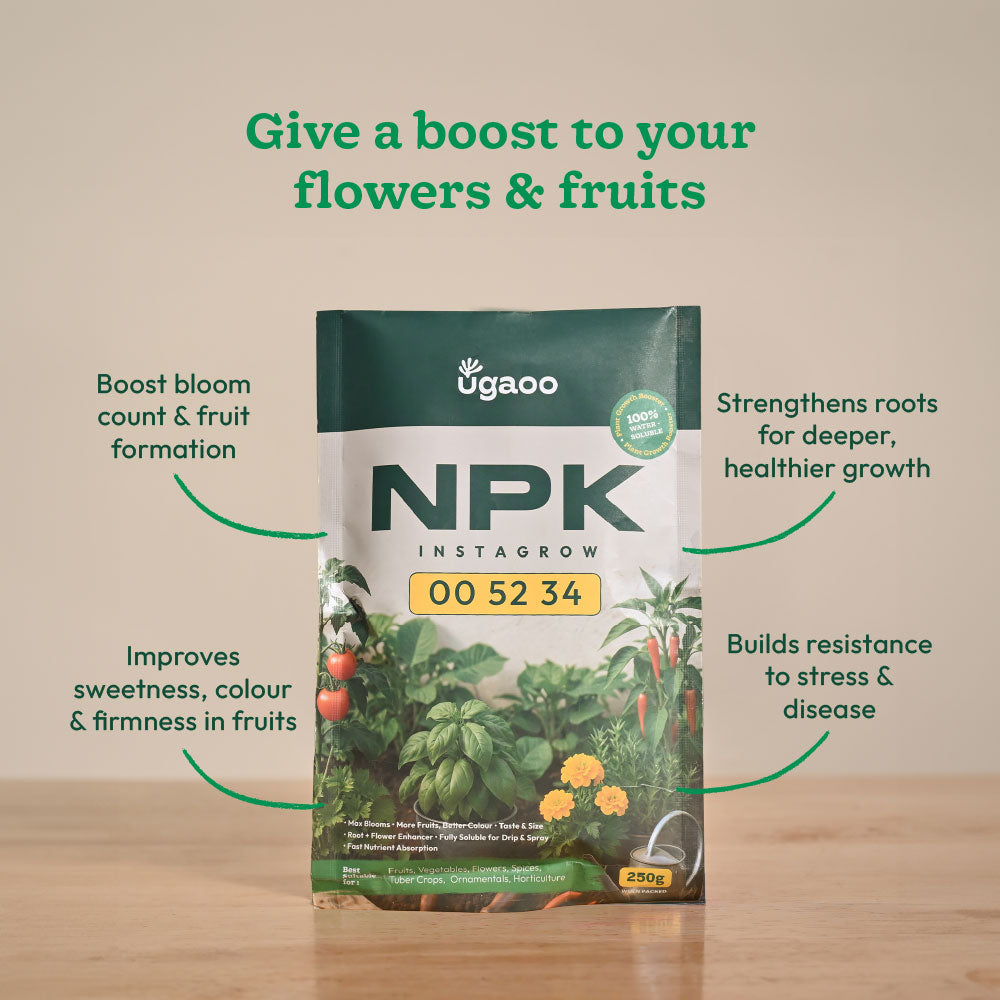Instagrow NPK 00:52:34 Fertilizer