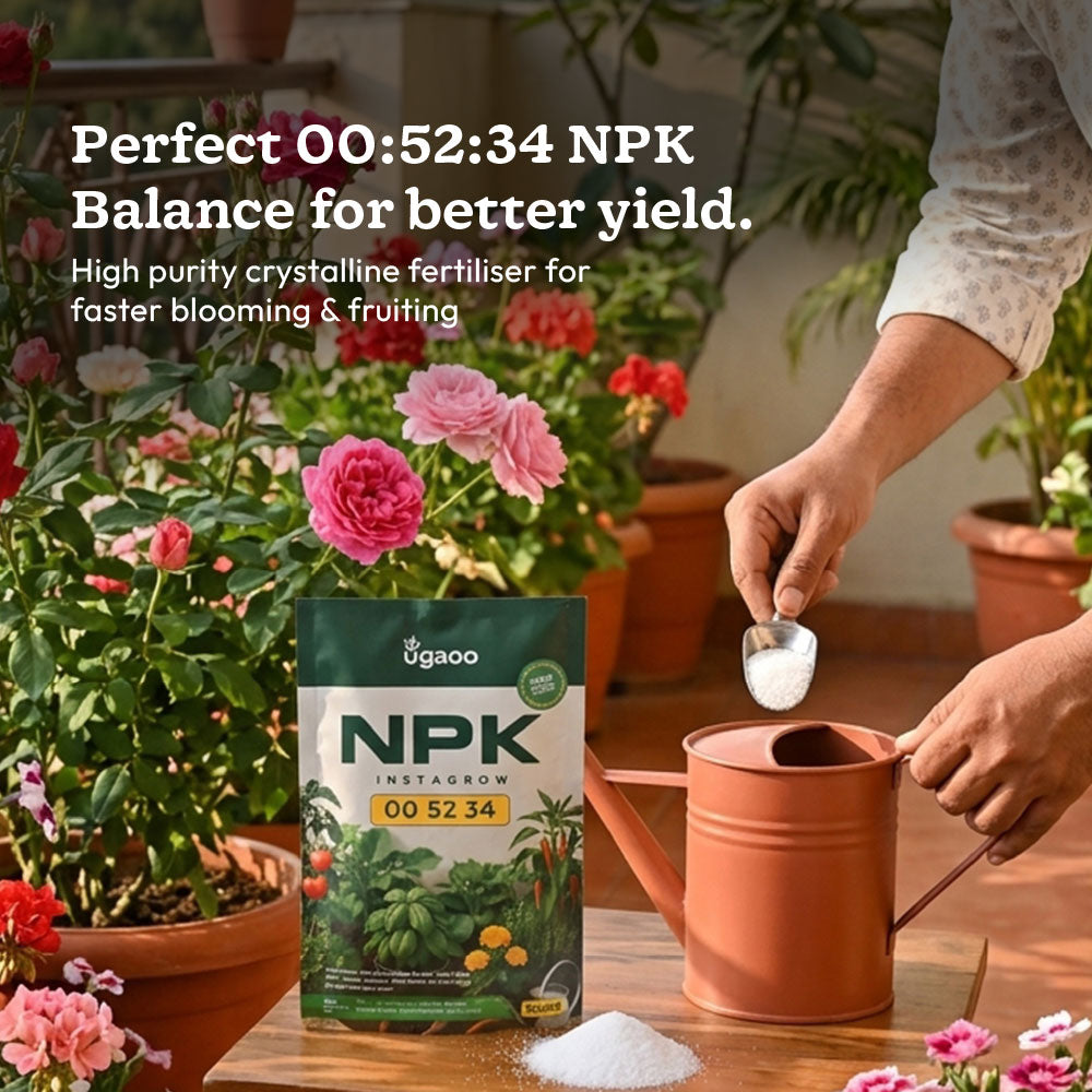 Instagrow NPK 00:52:34 Fertilizer