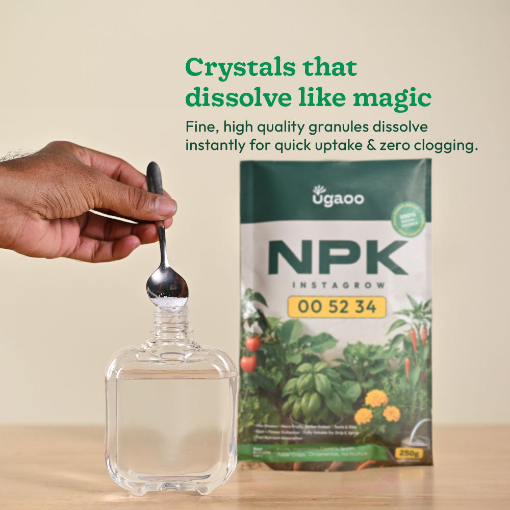 Instagrow NPK 00:52:34 Fertilizer