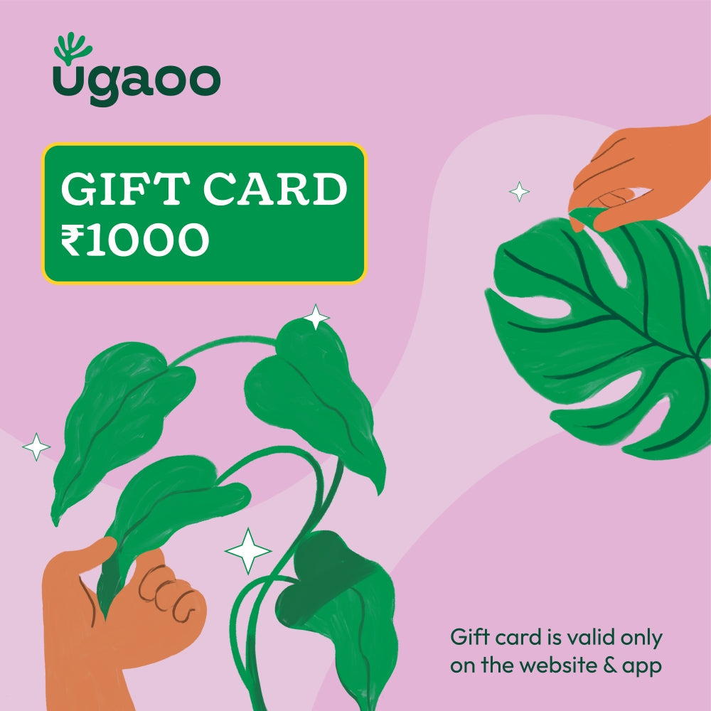 Ugaoo E-Gift Card