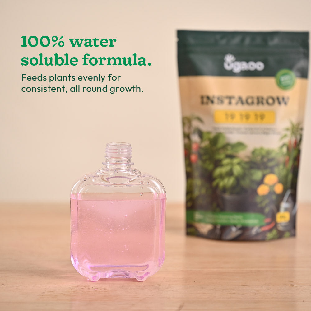 Instagrow NPK 19:19:19 Fertilizer