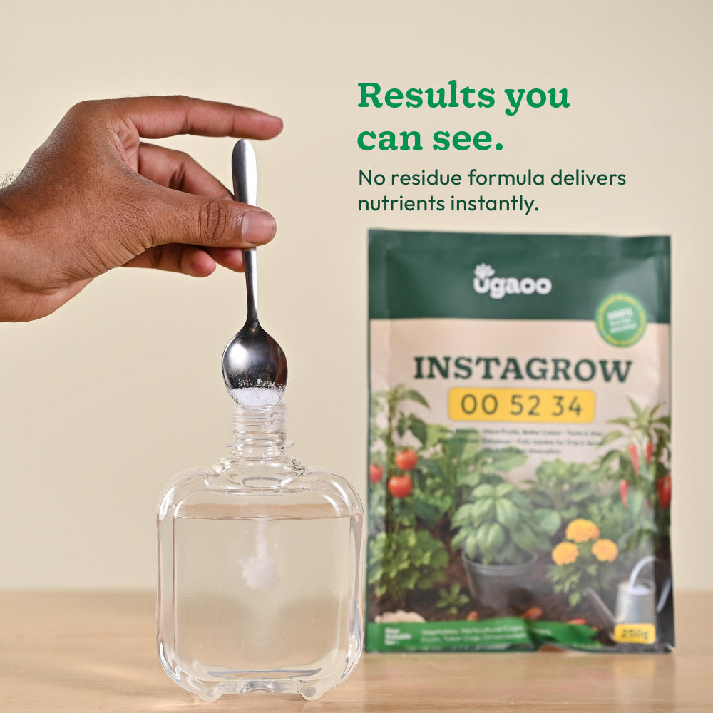 Instagrow NPK 00:52:34 Fertilizer