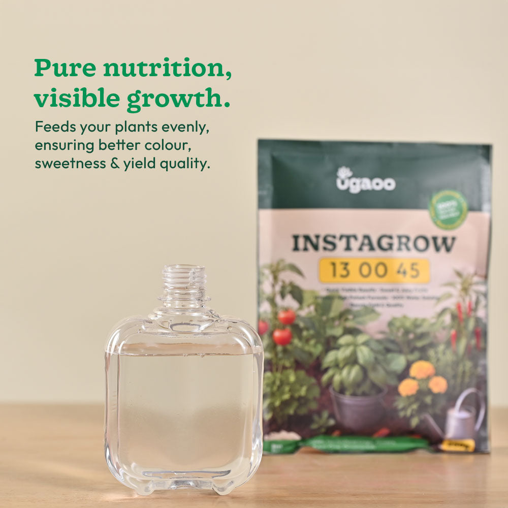 Instagrow NPK 13:00:45 Fertilizer