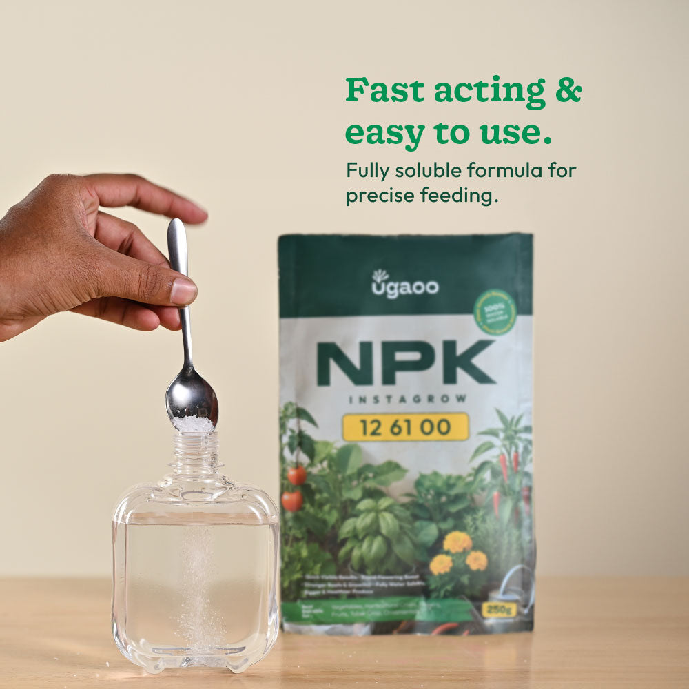Instagrow NPK 12:61:00 Fertilizer