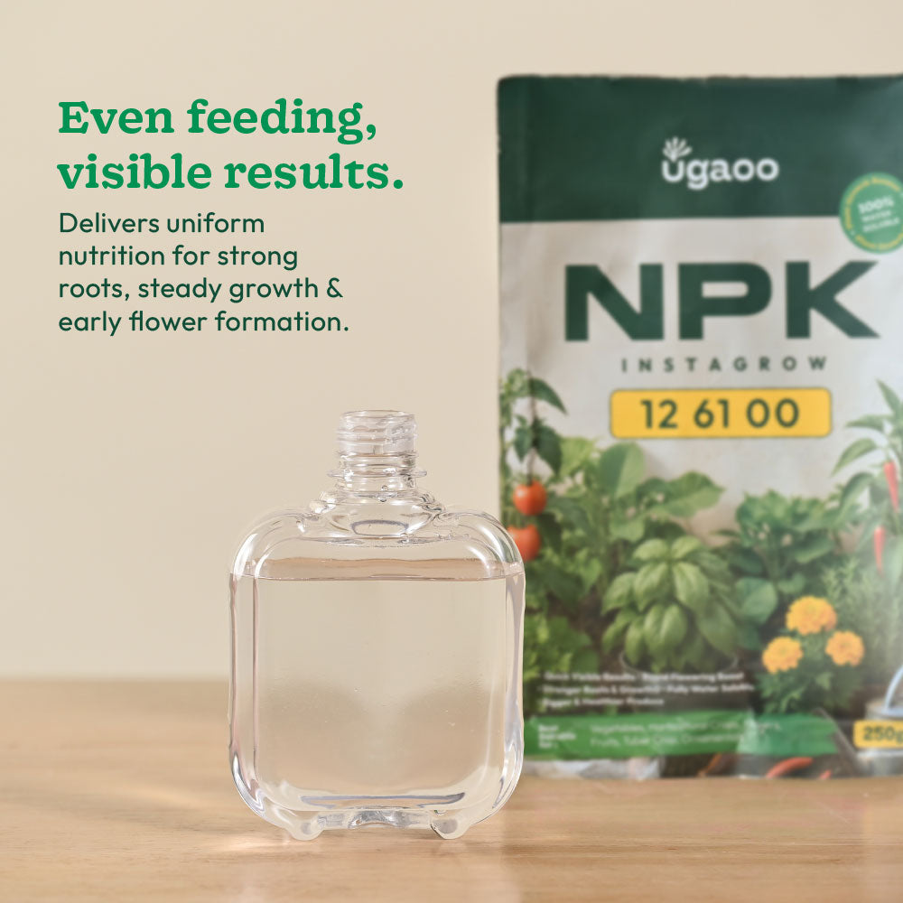 Instagrow NPK 12:61:00 Fertilizer