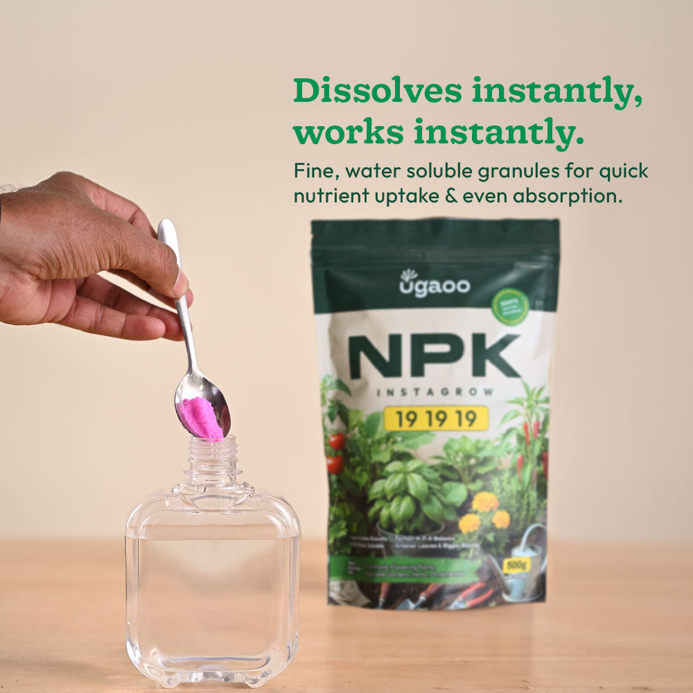Instagrow NPK 19:19:19 Fertilizer
