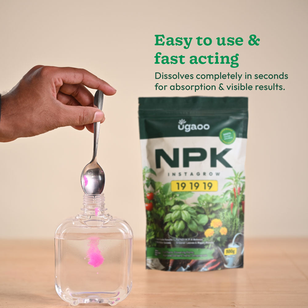 Instagrow NPK 19:19:19 Fertilizer