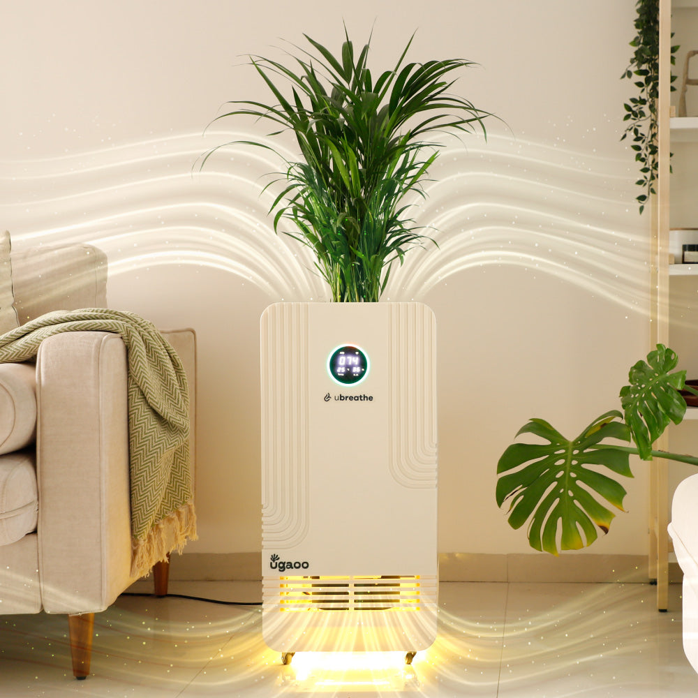 rubber plant air purifier Buy Ugaoo's smart plant-based Air Purifier
