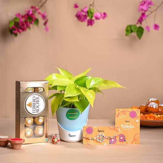 Rakhi gift for brother - Money Plant and Chocolate
