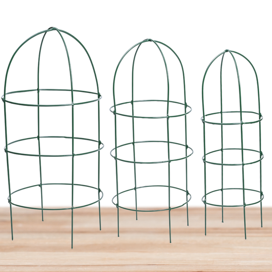 Trellis Plant Support Stands - Set of 3