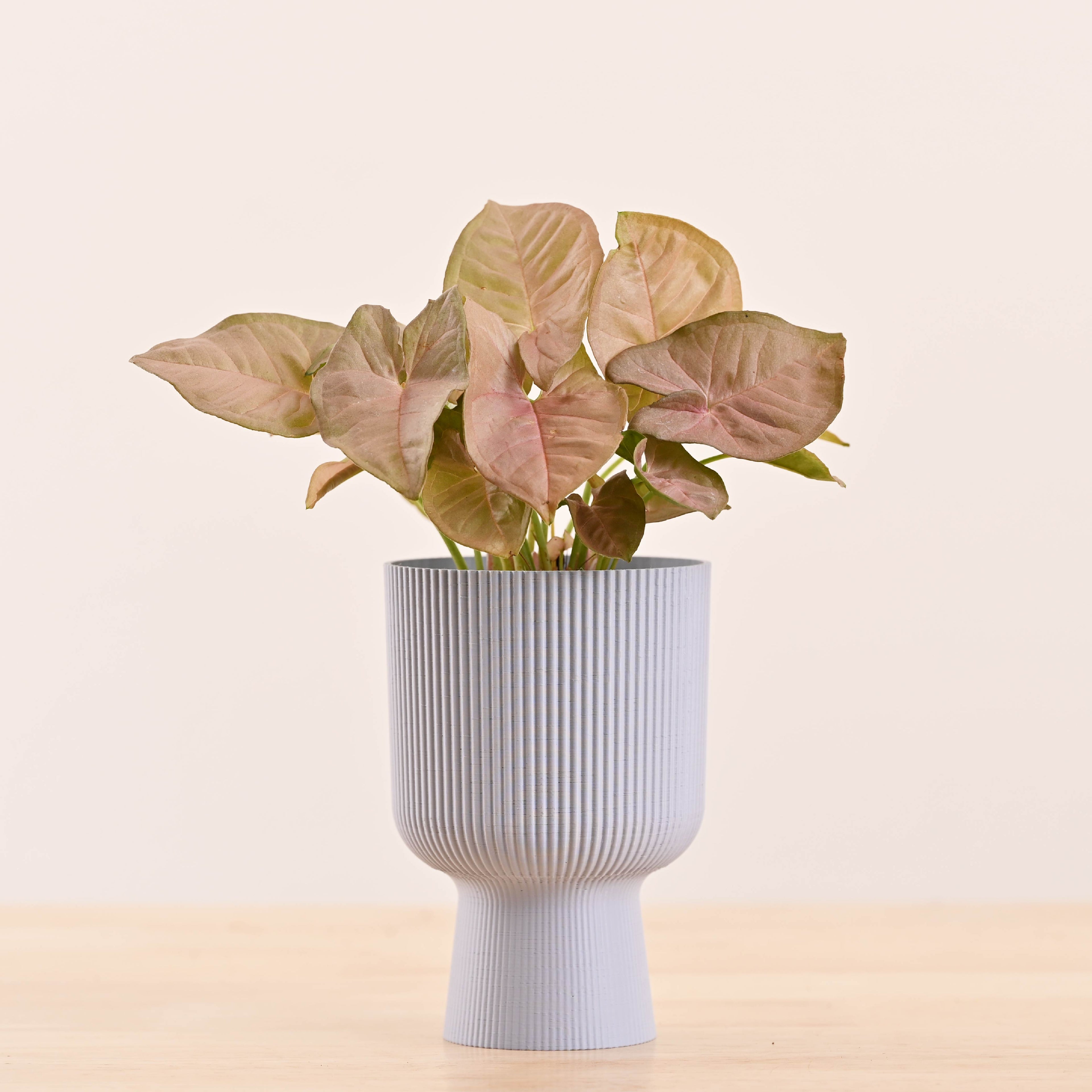 3d printed plant pots_NUHP0341