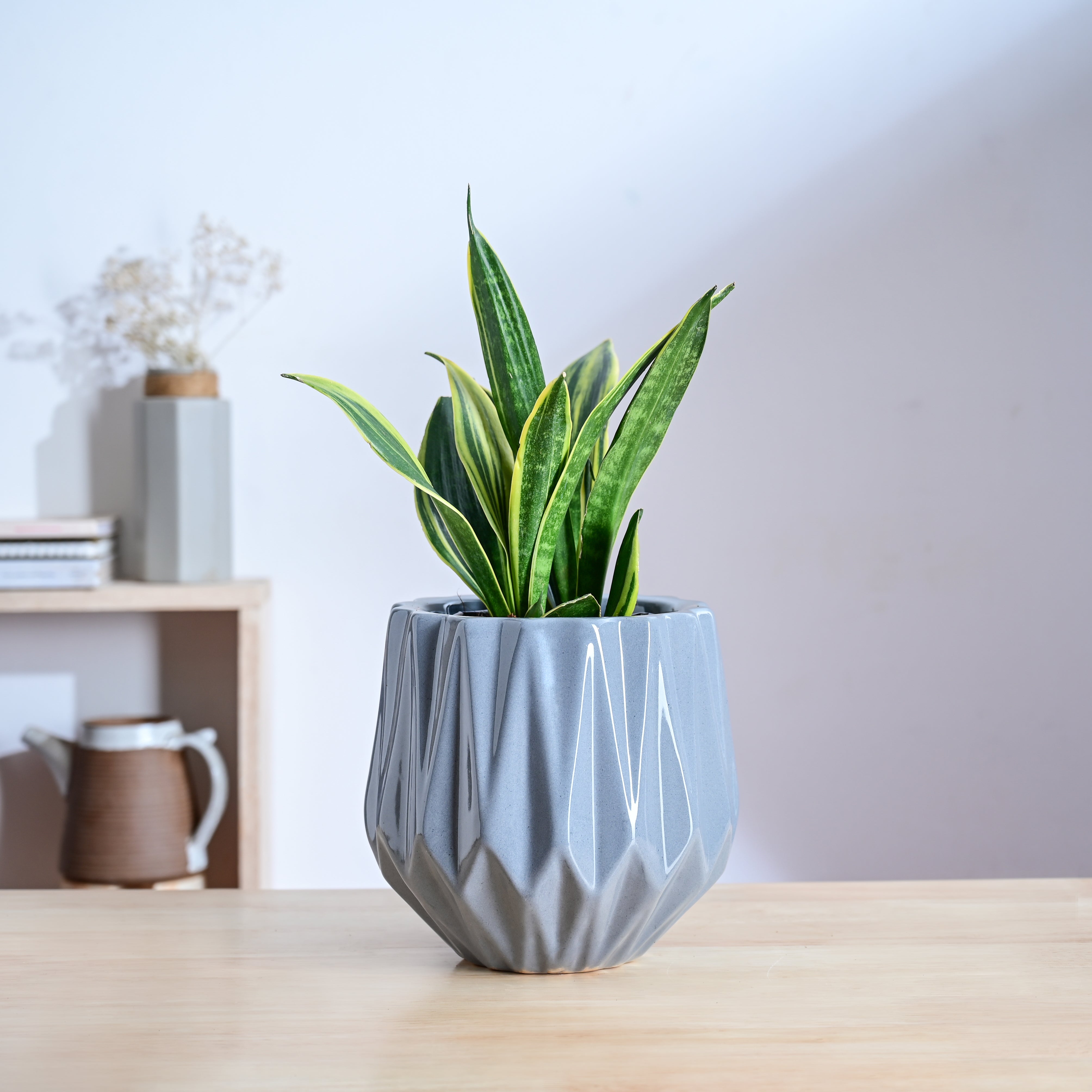 decorative ceramic pots for indoor plants Precious Horcrux Ceramic Pot – Ugaoo
