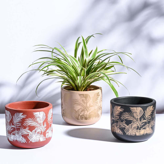 Sienna Terracotta Pots - Set of 3