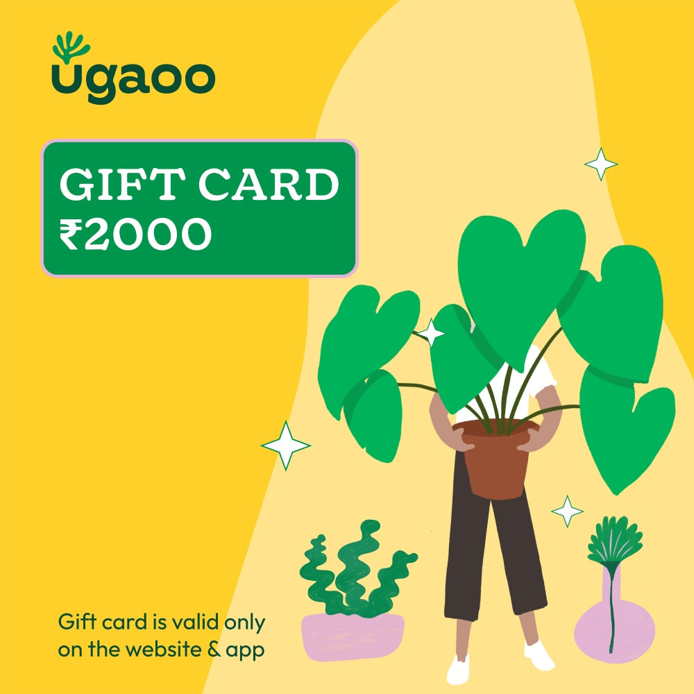 Ugaoo E-Gift Card