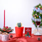 Heart Hoya Plant - Variegated Christmas Hamper