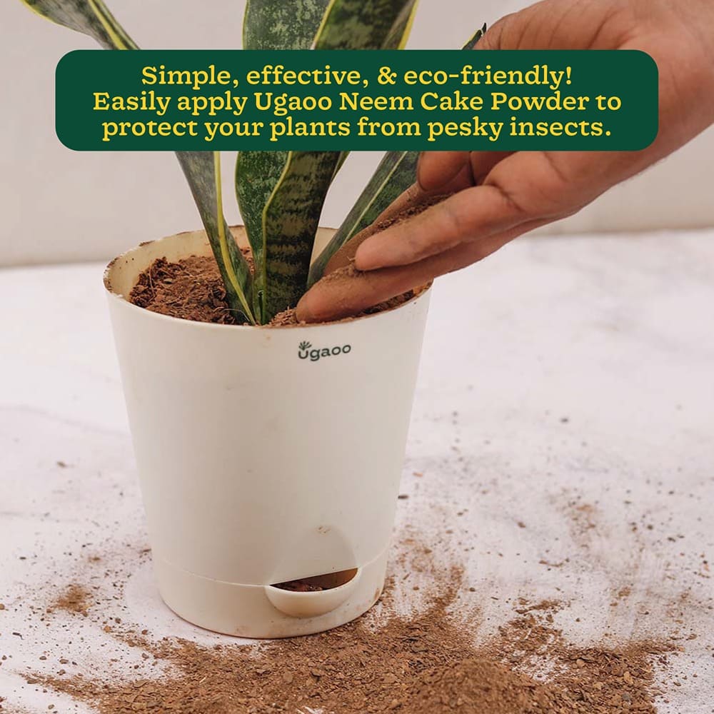 Neem Cake Powder - 1 kg