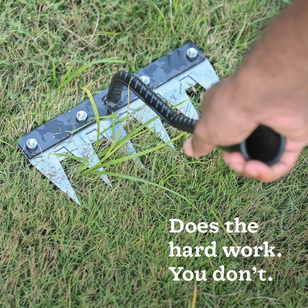 Hand Rake 6 Teeth