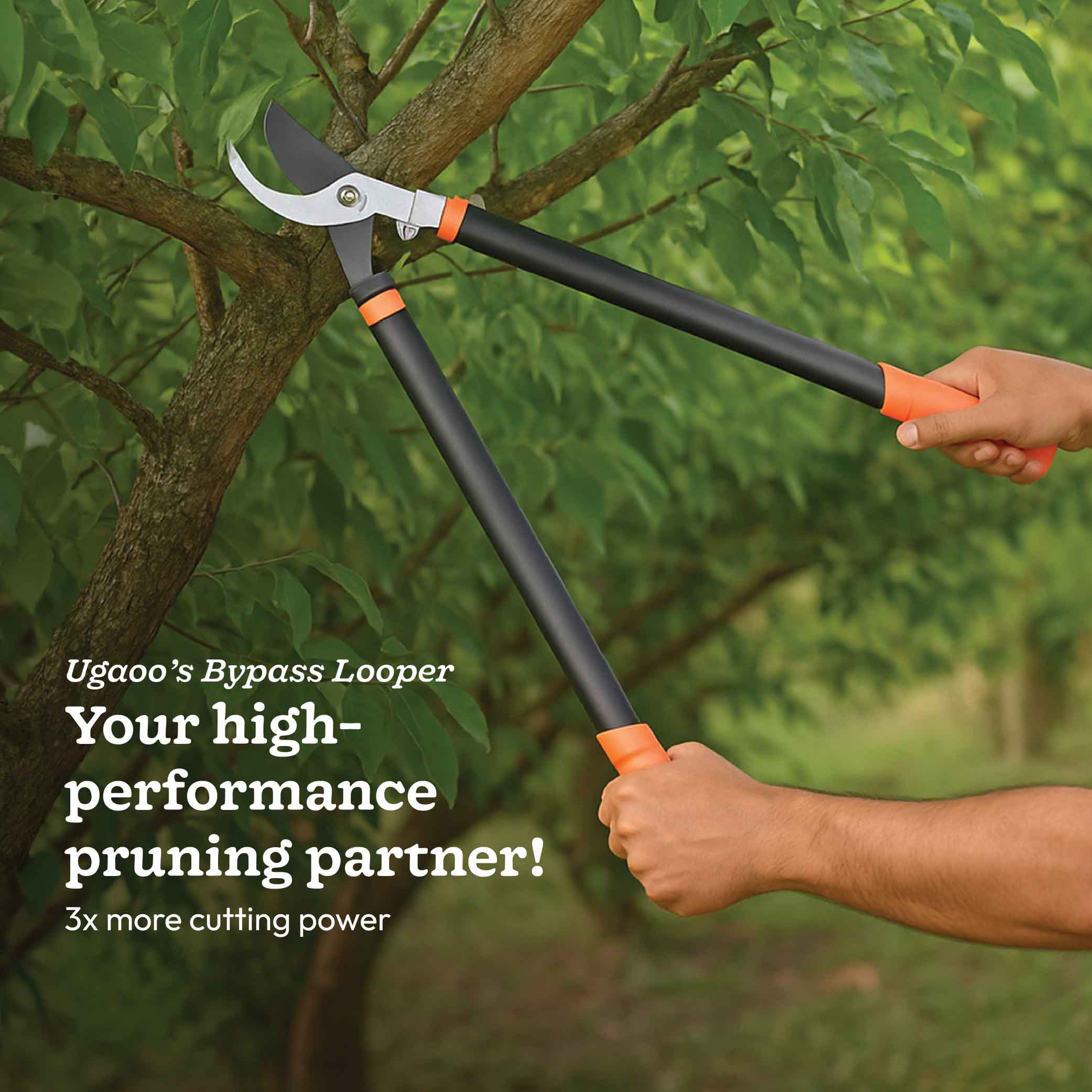 Compound Action Bypass Lopper