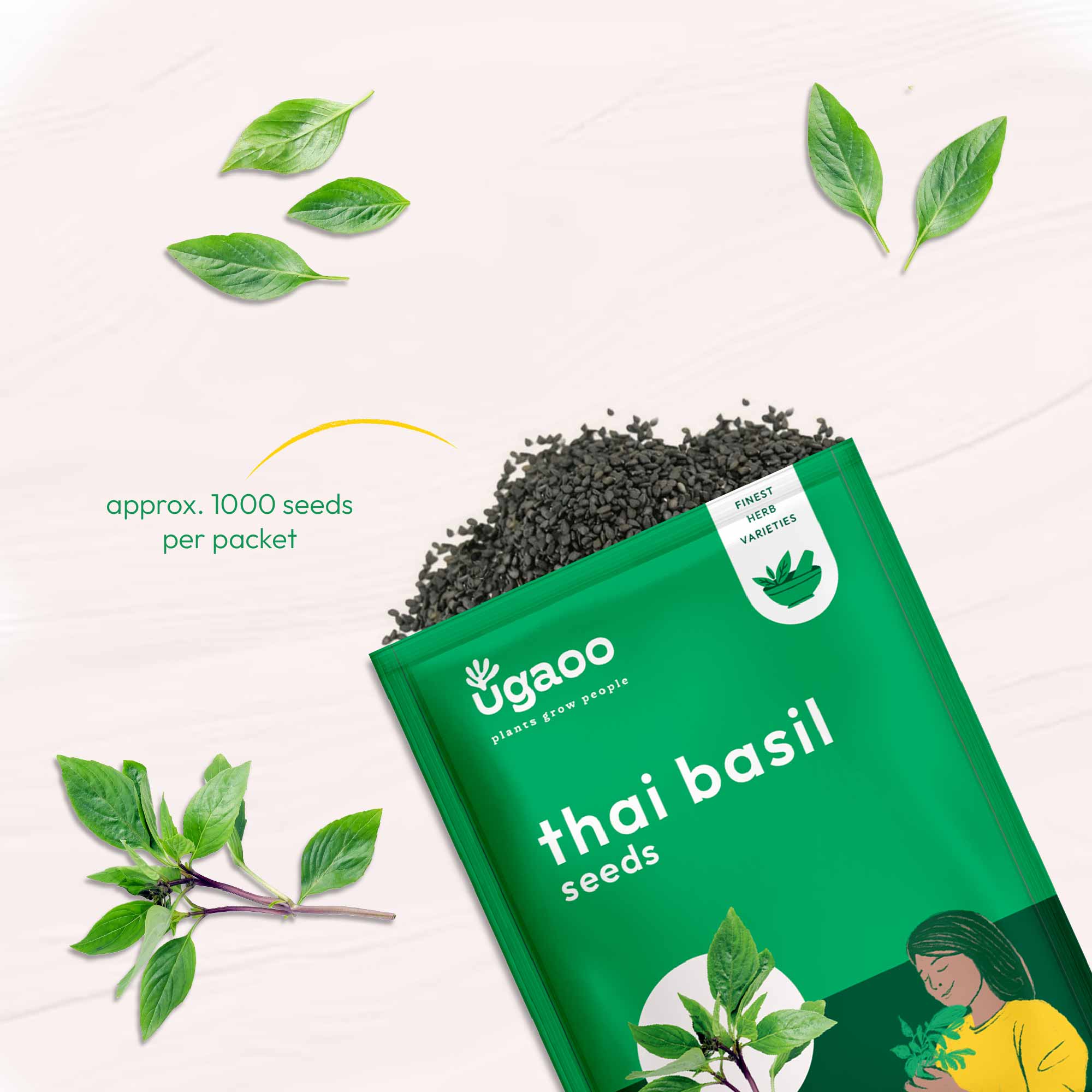 Thai Basil (1000 Seeds)