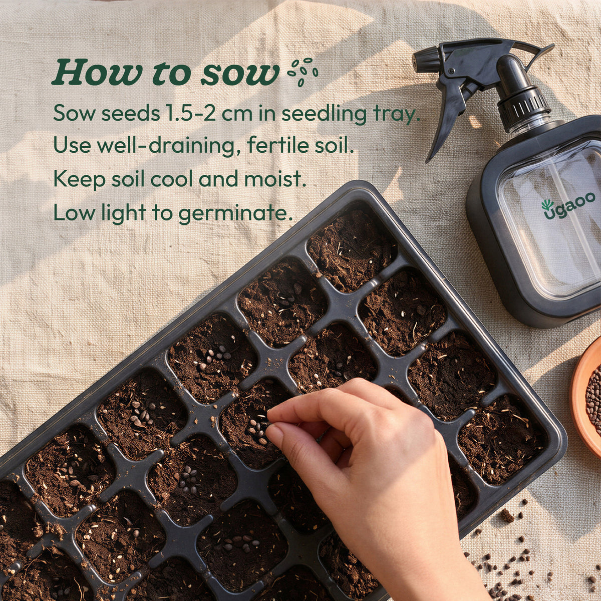 Bottlegourd Seeds (Long)