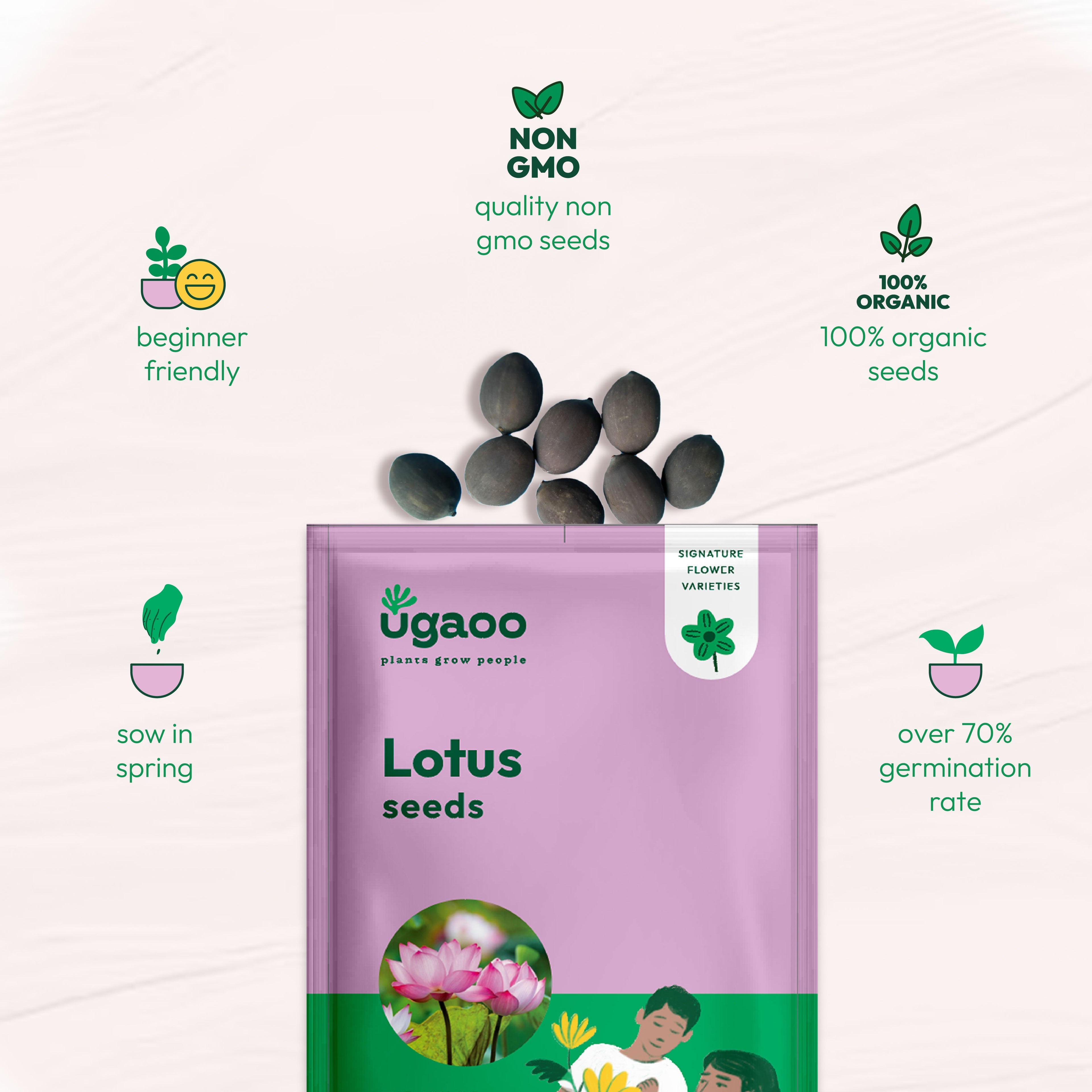 Lotus Seeds