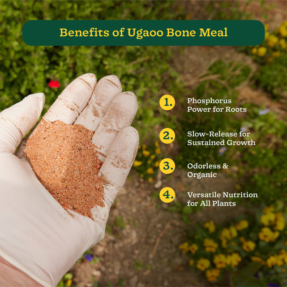 Ugaoo Bone Meal - 1 kg