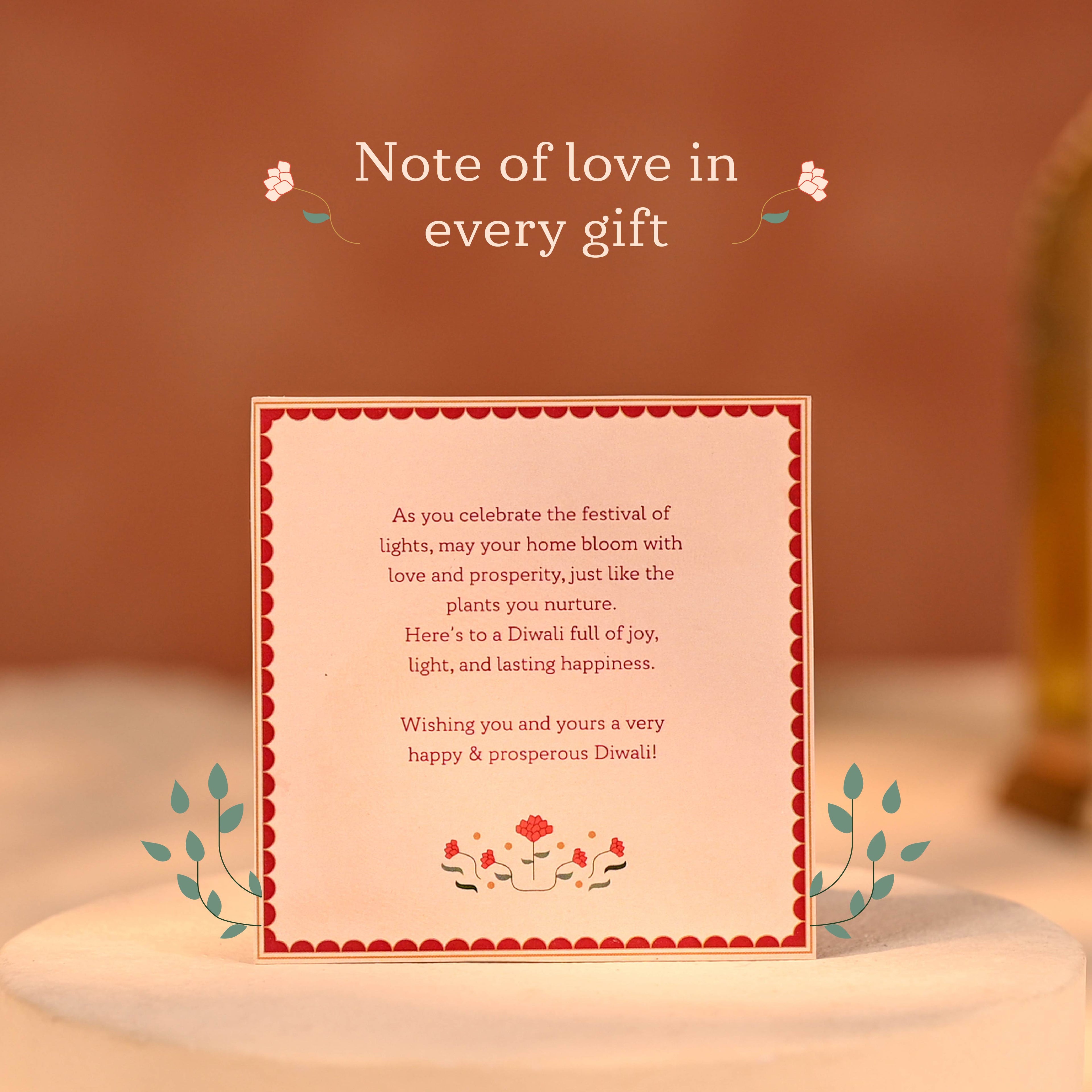 Peaceful Prosperity - Lucky Plant Hamper