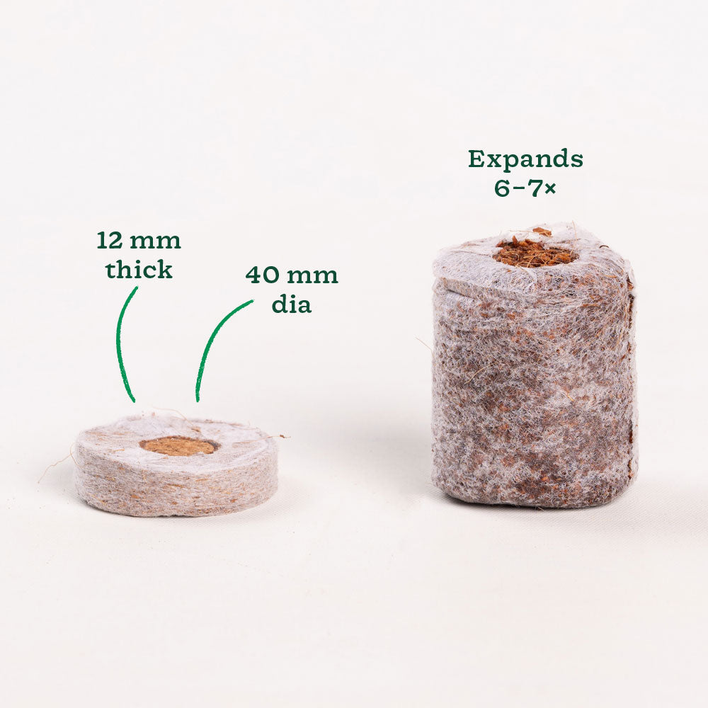 Coco Peat Coins