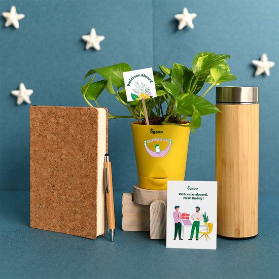 Employee Kit of Plant with Cork Notebook, Pen & Bamboo Vacuum Flask