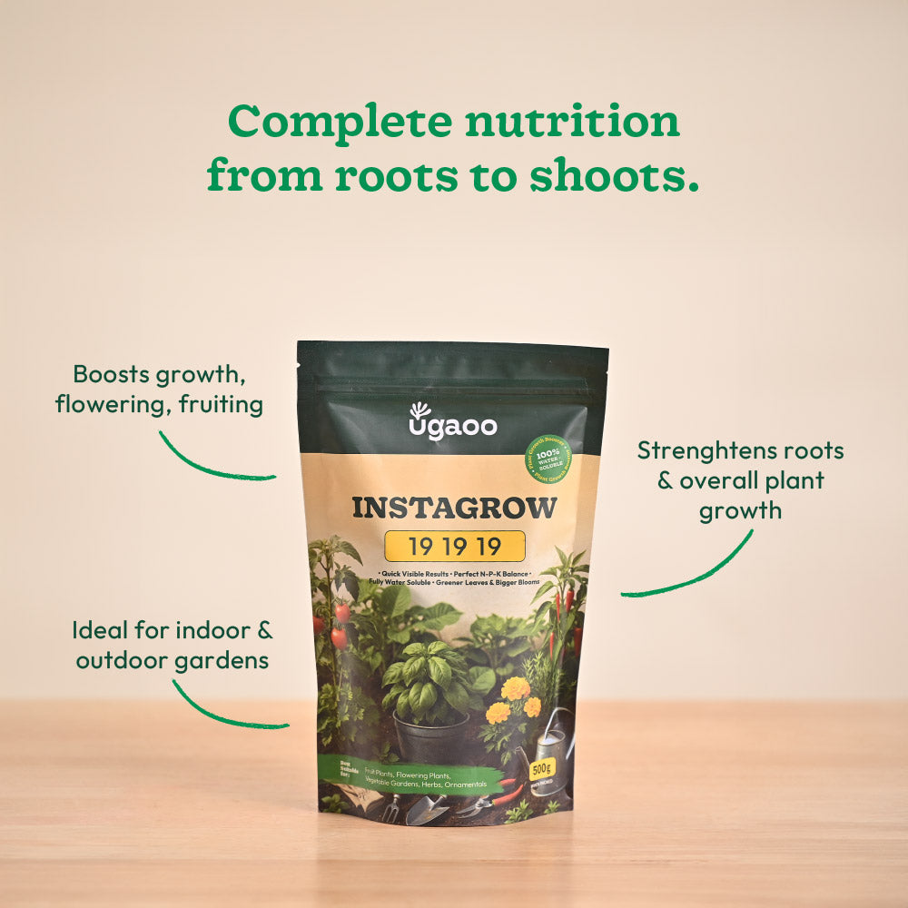 Instagrow NPK 19:19:19 Fertilizer