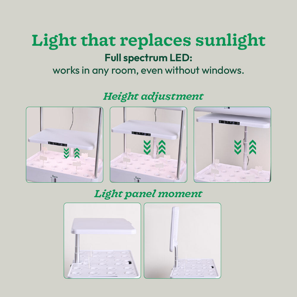 3-Tier Hydroponic Growing System with LED Grow Light
