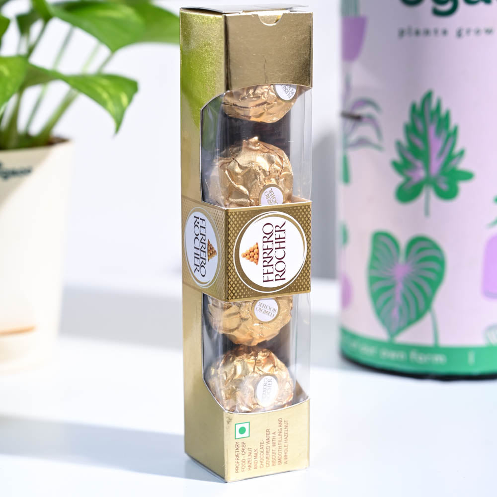 Money Plant Variegated Birthday Gift Hamper