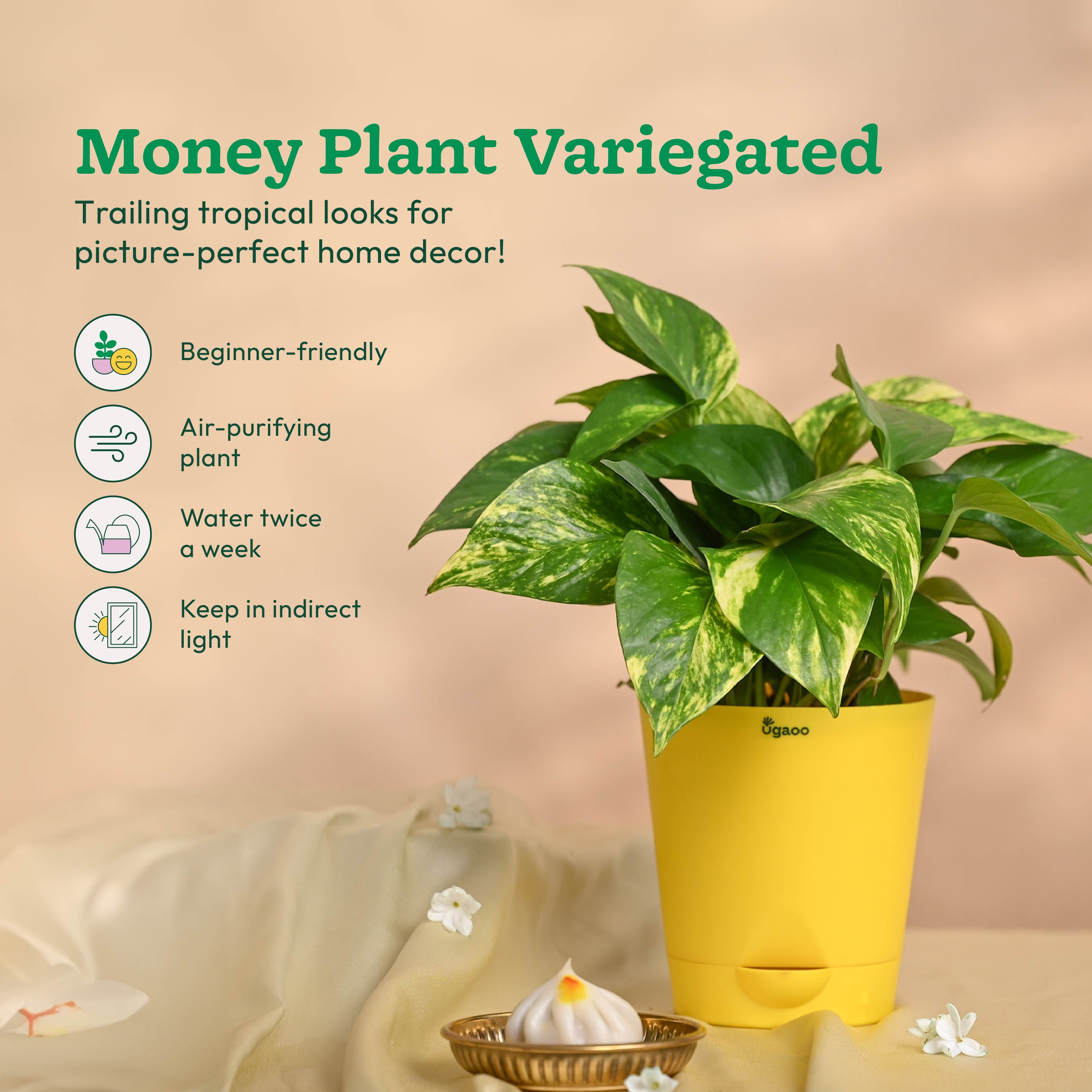 Ganapati Decor - Bundle of Plants