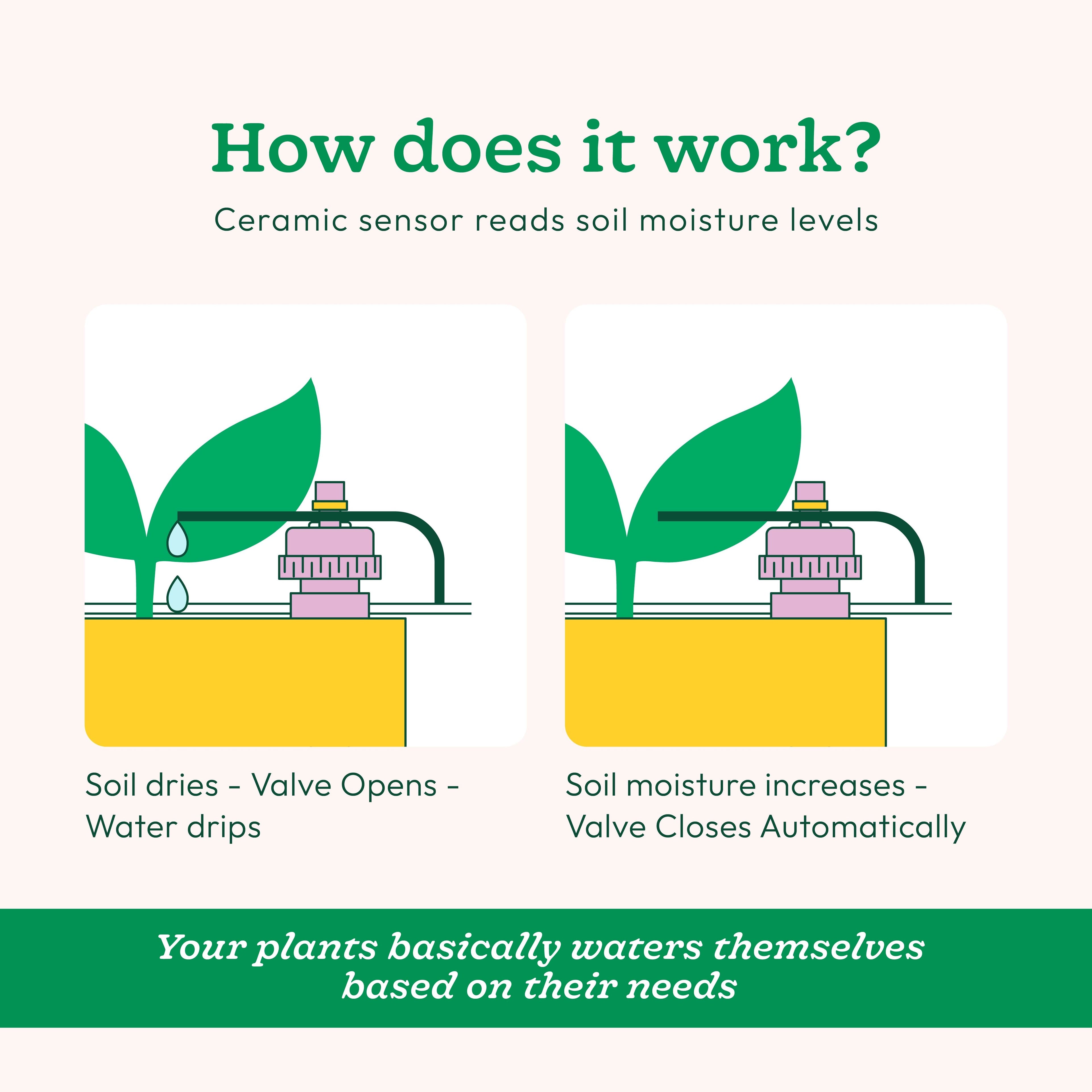 Blumat Irrigation Kit