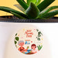 Aloe Vera Green Mini For Mother&