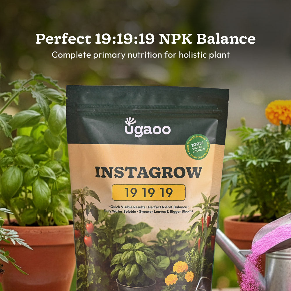 Instagrow NPK 19:19:19 Fertilizer