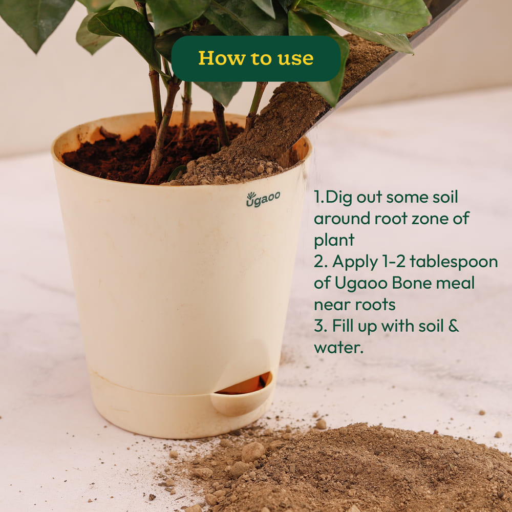 Ugaoo Bone Meal - 1 kg