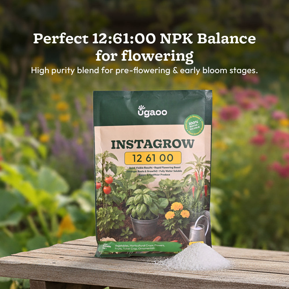 Instagrow NPK 12:61:00 Fertilizer