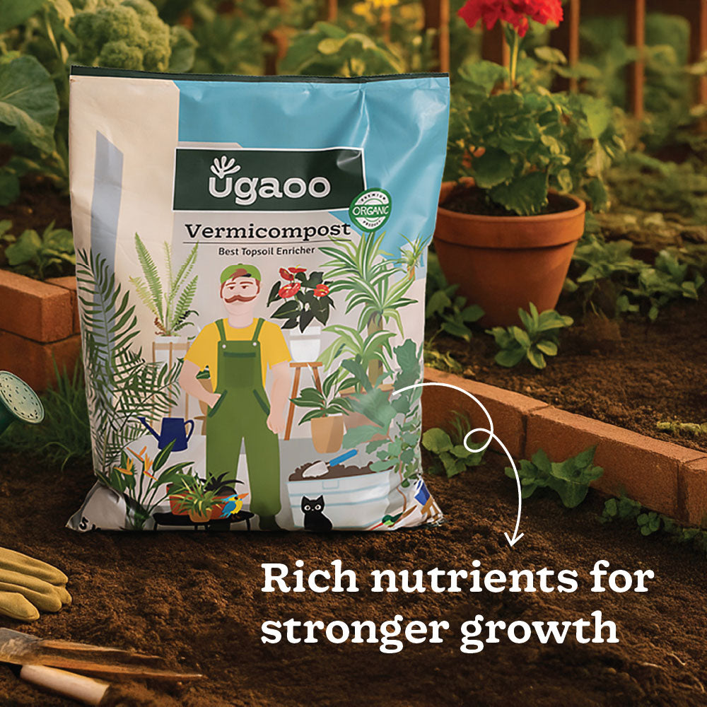 Ugaoo Essential Soil Nutrition Duo