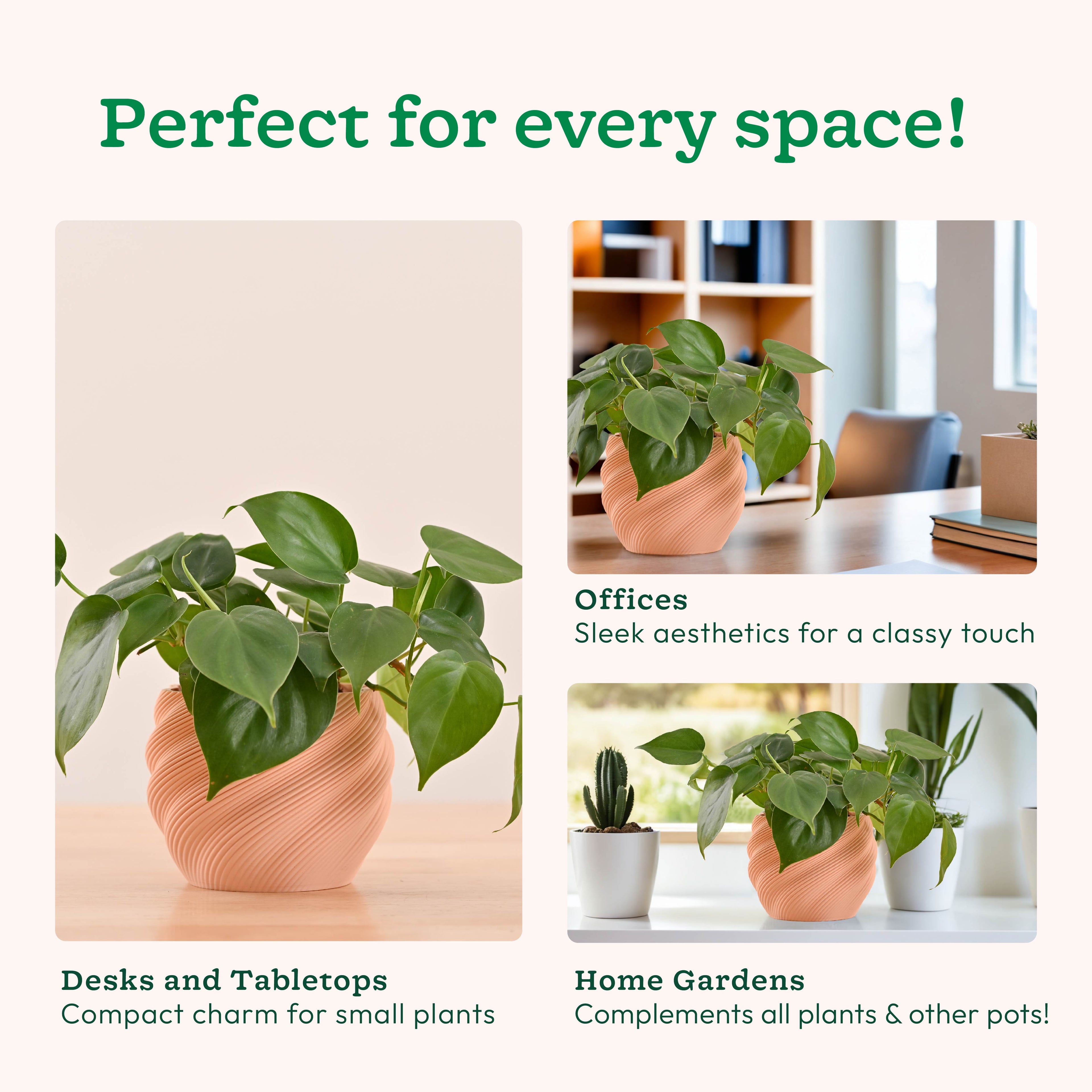 3d plant pots_NUHP0337